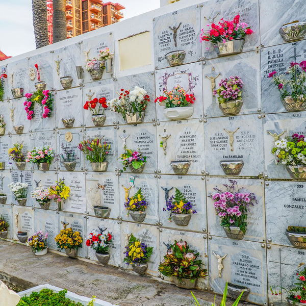 370636_6 370636_6