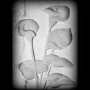 Flachrelief Callas - Aus Carrara-Marmor, personalisierbar ART24